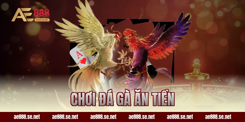 Chơi Đá Gà Ăn Tiền Tại AE888 – Trải Nghiệm Giải Trí Hấp Dẫn