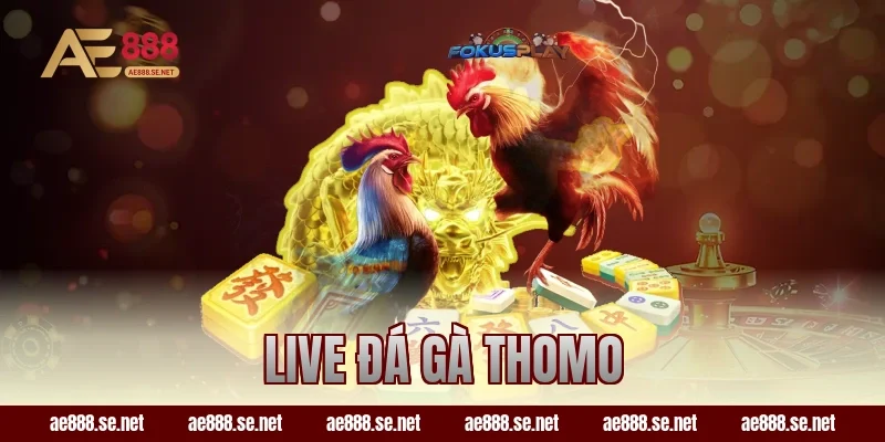 Live Đá Gà Thomo Tại AE888 – Cập Nhật Cực Nhanh Mỗi Ngày