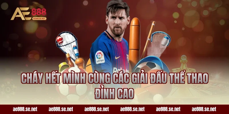 Cháy hết mình cùng các giải đấu Thể thao đỉnh cao